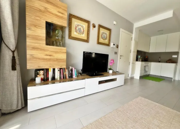 Luxury And New With Pool Appartement *
